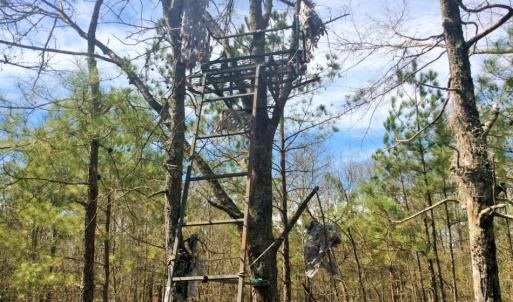 Photo of UNDER CONTRACT!  36.48 Acres of Hunting Land For Sale in Craven County NC!