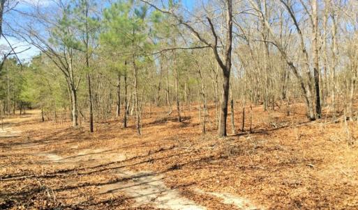 Photo of UNDER CONTRACT!  36.48 Acres of Hunting Land For Sale in Craven County NC!