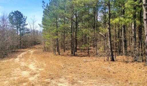 Photo of UNDER CONTRACT!  36.48 Acres of Hunting Land For Sale in Craven County NC!