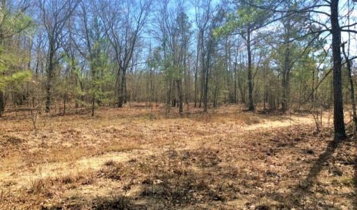 Photo of UNDER CONTRACT!  36.48 Acres of Hunting Land For Sale in Craven County NC!