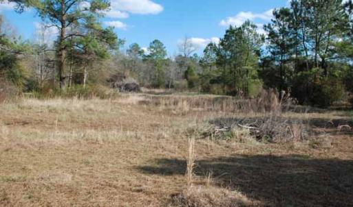 Photo of UNDER CONTRACT!  5.12 Acres of River Front Land For Sale in Jones County NC!