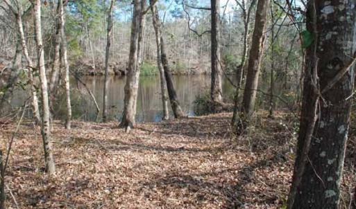 Photo of UNDER CONTRACT!  5.12 Acres of River Front Land For Sale in Jones County NC!