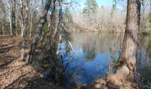 Photo of UNDER CONTRACT!  5.12 Acres of River Front Land For Sale in Jones County NC!