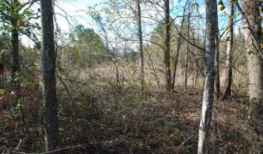 Photo of UNDER CONTRACT!  5.12 Acres of River Front Land For Sale in Jones County NC!