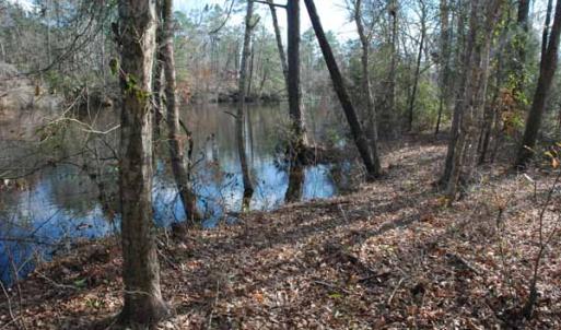 Photo of UNDER CONTRACT!  5.12 Acres of River Front Land For Sale in Jones County NC!