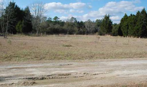 Photo of UNDER CONTRACT!  5.12 Acres of River Front Land For Sale in Jones County NC!