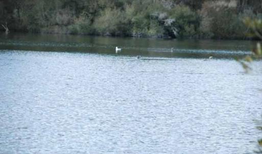 Photo of UNDER CONTRACT!  5.12 Acres of River Front Land For Sale in Jones County NC!