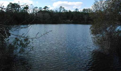 Photo of UNDER CONTRACT!  5.12 Acres of River Front Land For Sale in Jones County NC!