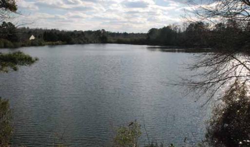 Photo of UNDER CONTRACT!  5.12 Acres of River Front Land For Sale in Jones County NC!