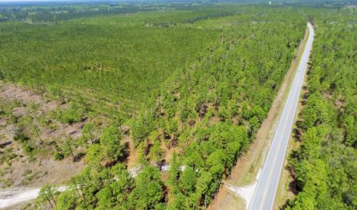 Photo of SOLD!  12.7 Acres of Timberland For Sale in Pamlico County NC!