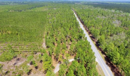 Photo of SOLD!  12.7 Acres of Timberland For Sale in Pamlico County NC!