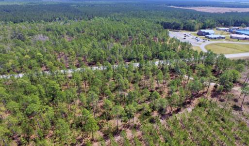 Photo of SOLD!  12.7 Acres of Timberland For Sale in Pamlico County NC!