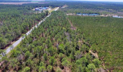 Photo of SOLD!  12.7 Acres of Timberland For Sale in Pamlico County NC!