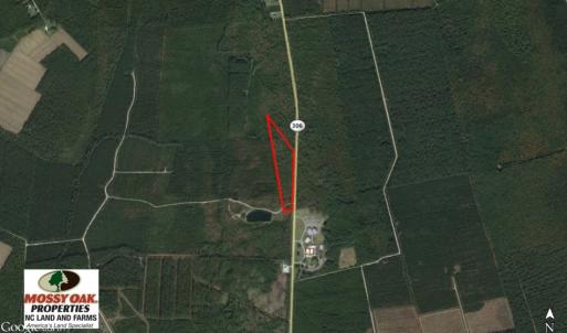 Photo of SOLD!  12.7 Acres of Timberland For Sale in Pamlico County NC!