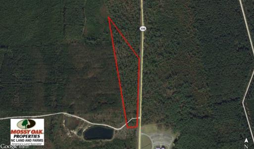 Photo of SOLD!  12.7 Acres of Timberland For Sale in Pamlico County NC!