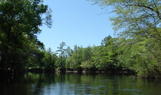 Photo of SOLD!  337 Acres of Hunting Land For Sale in Columbus County NC!