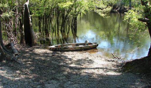 Photo of SOLD!  337 Acres of Hunting Land For Sale in Columbus County NC!