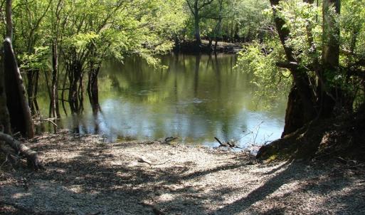 Photo of SOLD!  337 Acres of Hunting Land For Sale in Columbus County NC!