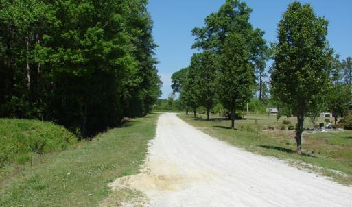 Photo of SOLD!  337 Acres of Hunting Land For Sale in Columbus County NC!