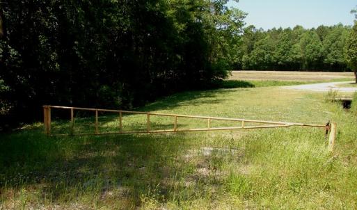 Photo of SOLD!  337 Acres of Hunting Land For Sale in Columbus County NC!