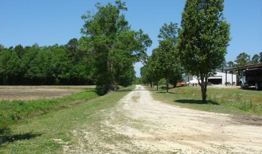 Photo of SOLD!  337 Acres of Hunting Land For Sale in Columbus County NC!
