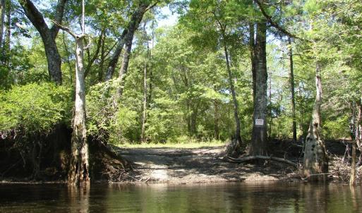 Photo of SOLD!  337 Acres of Hunting Land For Sale in Columbus County NC!