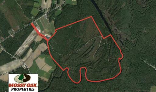Photo of SOLD!  337 Acres of Hunting Land For Sale in Columbus County NC!