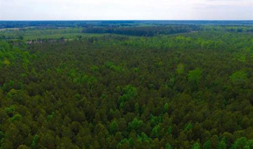 Photo of SOLD!!  283.83 Acres of Hunting and Timber Land For Sale In Pamlico County NC!
