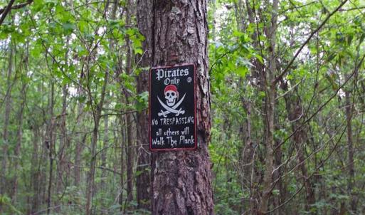 Photo of SOLD!!  283.83 Acres of Hunting and Timber Land For Sale In Pamlico County NC!