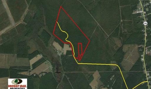 Photo of SOLD!!  283.83 Acres of Hunting and Timber Land For Sale In Pamlico County NC!