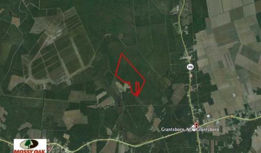 Photo of SOLD!!  283.83 Acres of Hunting and Timber Land For Sale In Pamlico County NC!