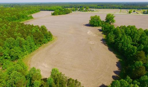 Photo of REDUCED!  443.3 Acres of Farm and Timber Land For Sale In Pamlico County NC!