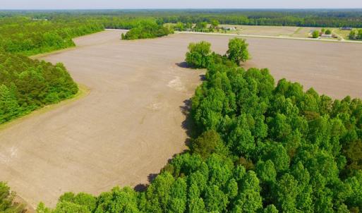 Photo of REDUCED!  443.3 Acres of Farm and Timber Land For Sale In Pamlico County NC!