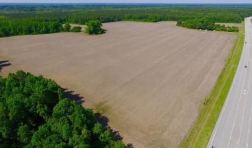 Photo of REDUCED!  443.3 Acres of Farm and Timber Land For Sale In Pamlico County NC!
