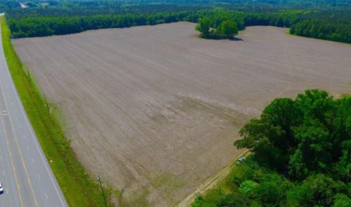 Photo of REDUCED!  443.3 Acres of Farm and Timber Land For Sale In Pamlico County NC!