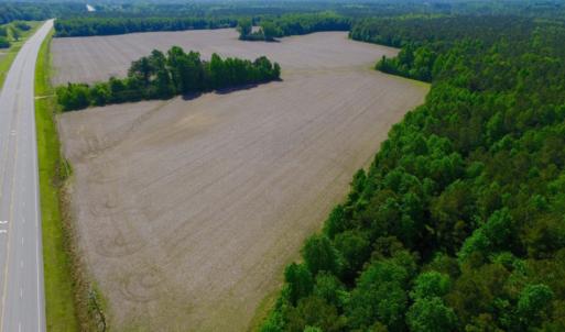 Photo of REDUCED!  443.3 Acres of Farm and Timber Land For Sale In Pamlico County NC!