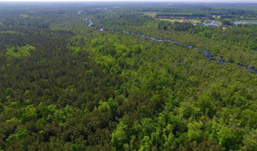 Photo of REDUCED!  443.3 Acres of Farm and Timber Land For Sale In Pamlico County NC!