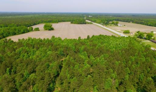 Photo of REDUCED!  443.3 Acres of Farm and Timber Land For Sale In Pamlico County NC!
