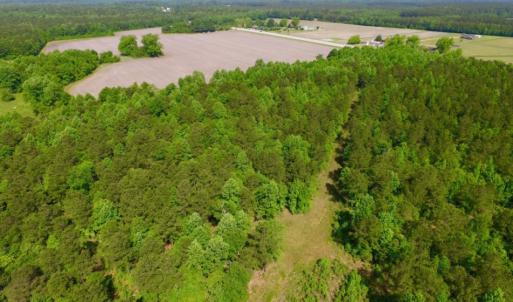 Photo of REDUCED!  443.3 Acres of Farm and Timber Land For Sale In Pamlico County NC!