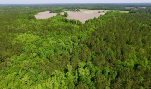 Photo of REDUCED!  443.3 Acres of Farm and Timber Land For Sale In Pamlico County NC!