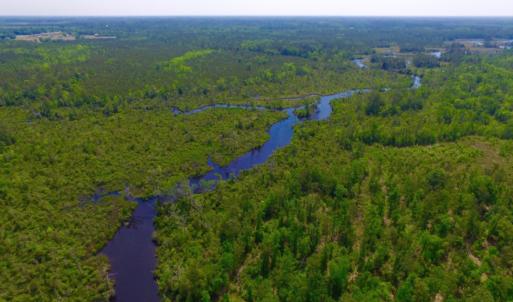 Photo of REDUCED!  443.3 Acres of Farm and Timber Land For Sale In Pamlico County NC!