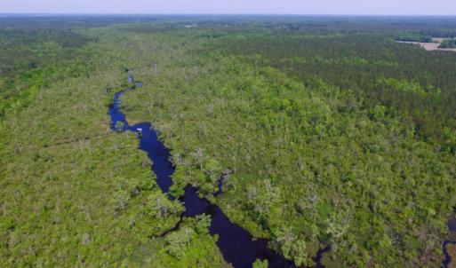 Photo of REDUCED!  443.3 Acres of Farm and Timber Land For Sale In Pamlico County NC!