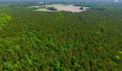 Photo of REDUCED!  443.3 Acres of Farm and Timber Land For Sale In Pamlico County NC!