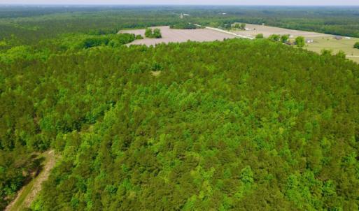 Photo of REDUCED!  443.3 Acres of Farm and Timber Land For Sale In Pamlico County NC!