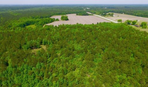 Photo of REDUCED!  443.3 Acres of Farm and Timber Land For Sale In Pamlico County NC!
