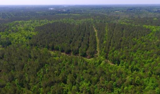 Photo of REDUCED!  443.3 Acres of Farm and Timber Land For Sale In Pamlico County NC!