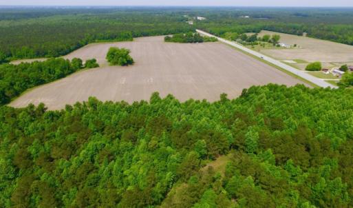 Photo of REDUCED!  443.3 Acres of Farm and Timber Land For Sale In Pamlico County NC!