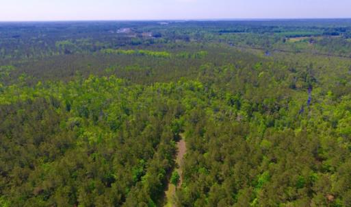 Photo of REDUCED!  443.3 Acres of Farm and Timber Land For Sale In Pamlico County NC!
