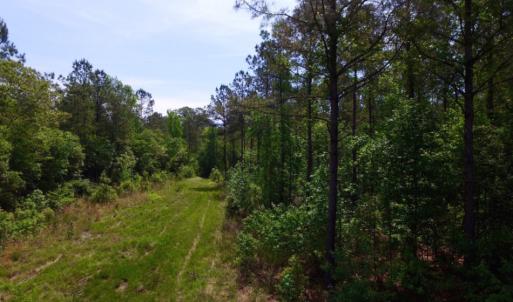 Photo of REDUCED!  443.3 Acres of Farm and Timber Land For Sale In Pamlico County NC!