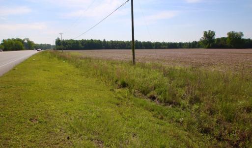 Photo of REDUCED!  443.3 Acres of Farm and Timber Land For Sale In Pamlico County NC!